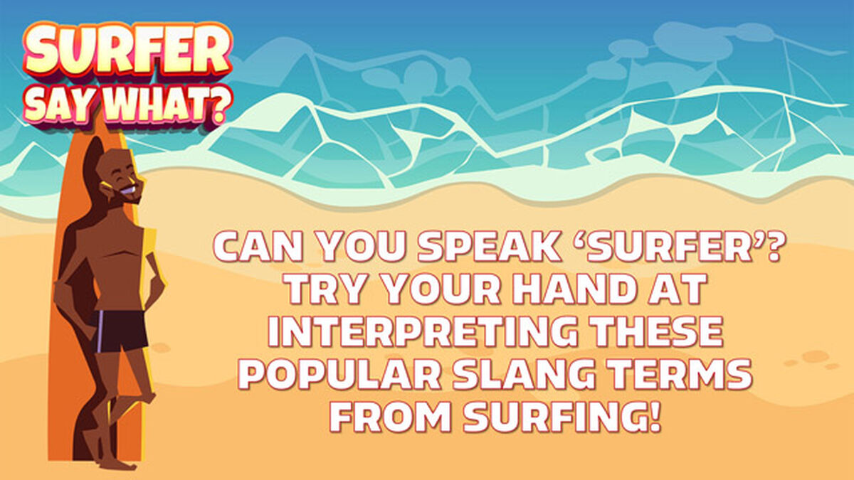 Surfer Say What? image number null